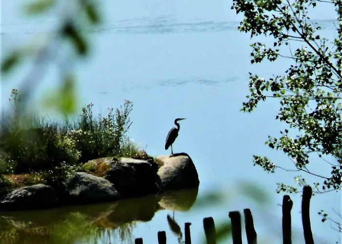 Maison De Ferme, Prairies Sur La Colline, Etang Dom wakacyjny *