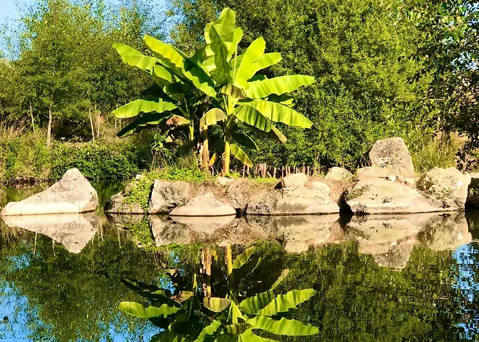 Maison De Ferme, Prairies Sur La Colline, Etang Lanuejouls-et-Privezac